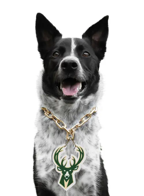 Bucks Pro Shop Icon Series Milwaukee Bucks Pet Fan Chain Accessory 1