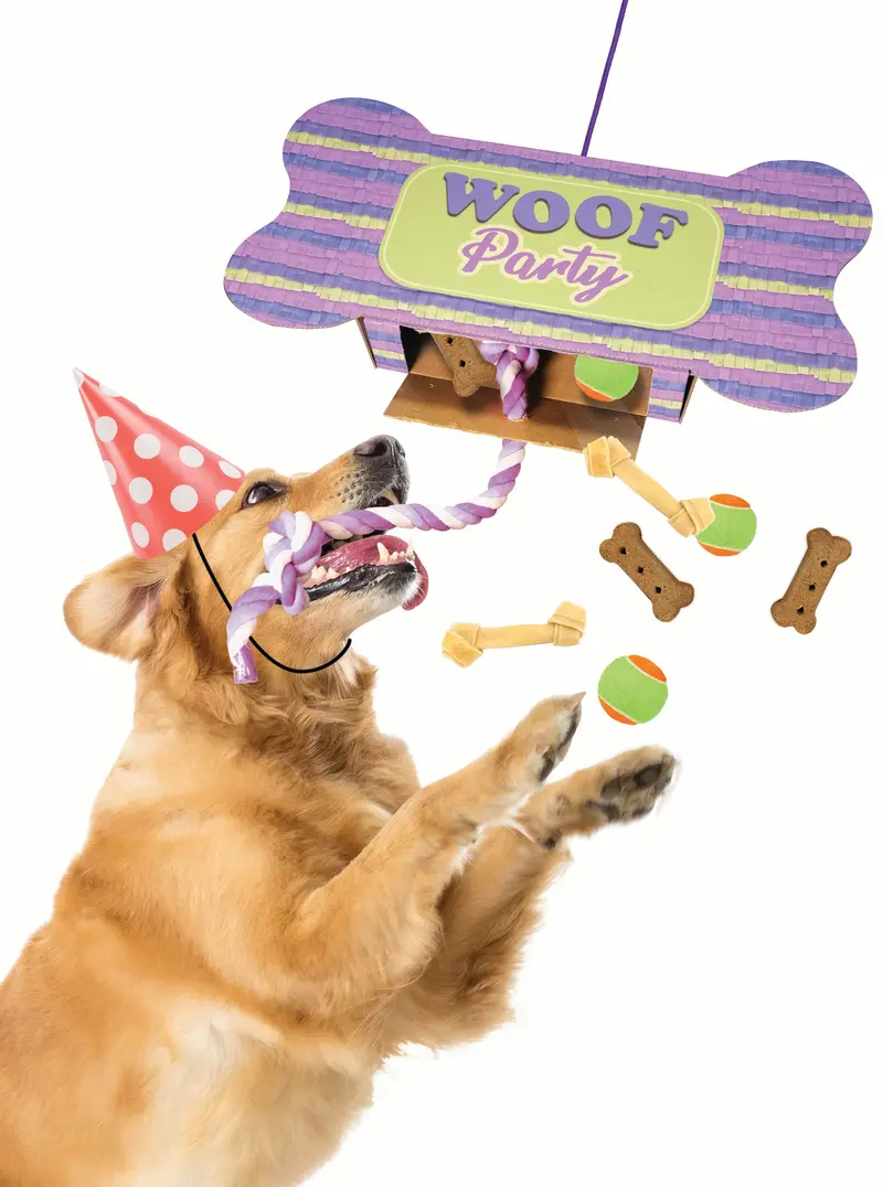 Woof Party Dog Piñata – Pet-Safe Treat-Filled Chew Toy 1