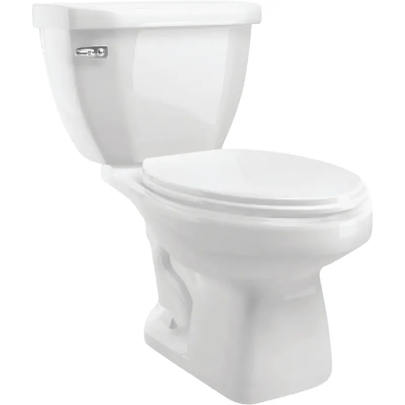 Cato Terra White Elongated Toilet Bowl With 1.28 Gpf Efficiency 1